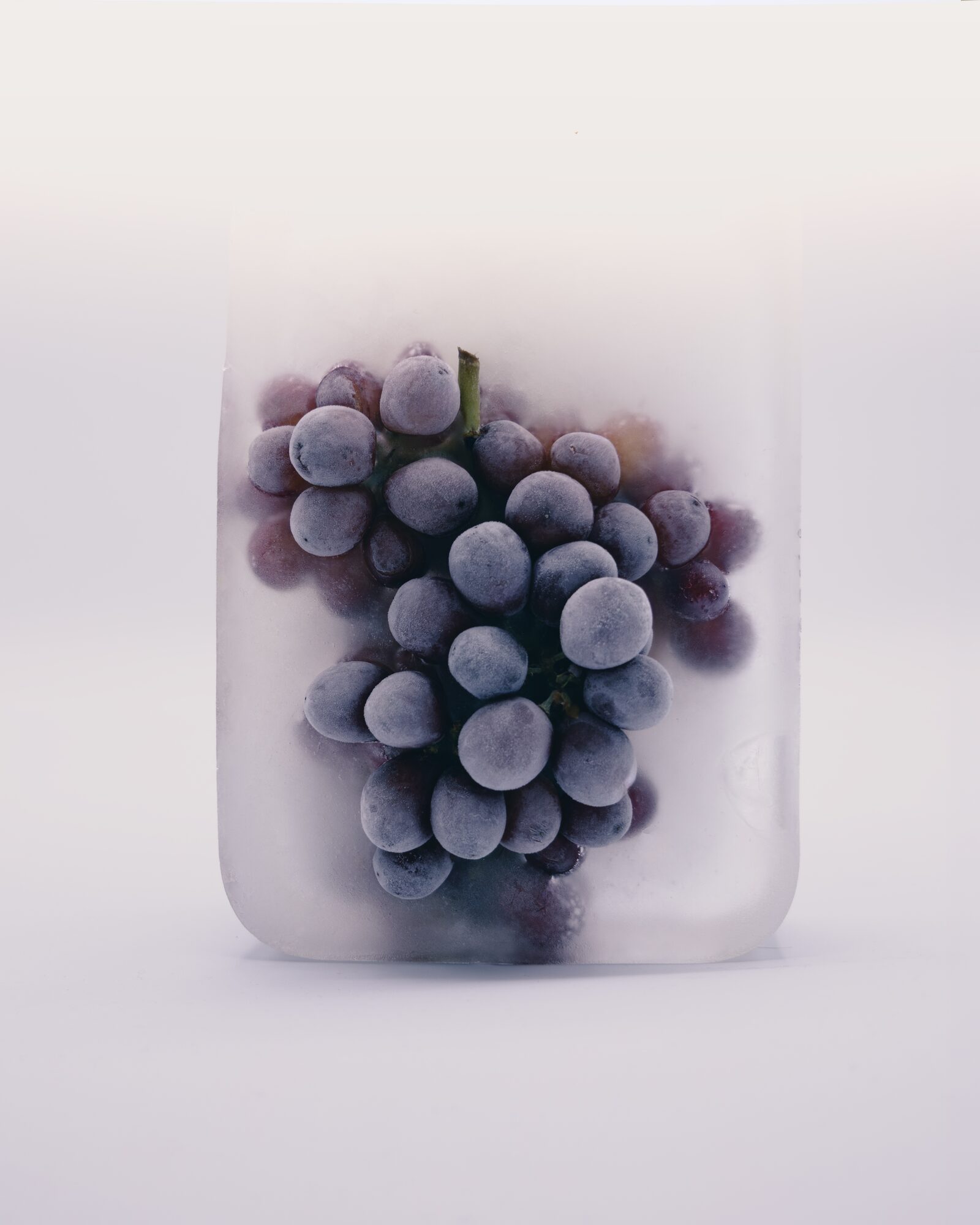 Fotografía gastronómica de Ale Fisichella