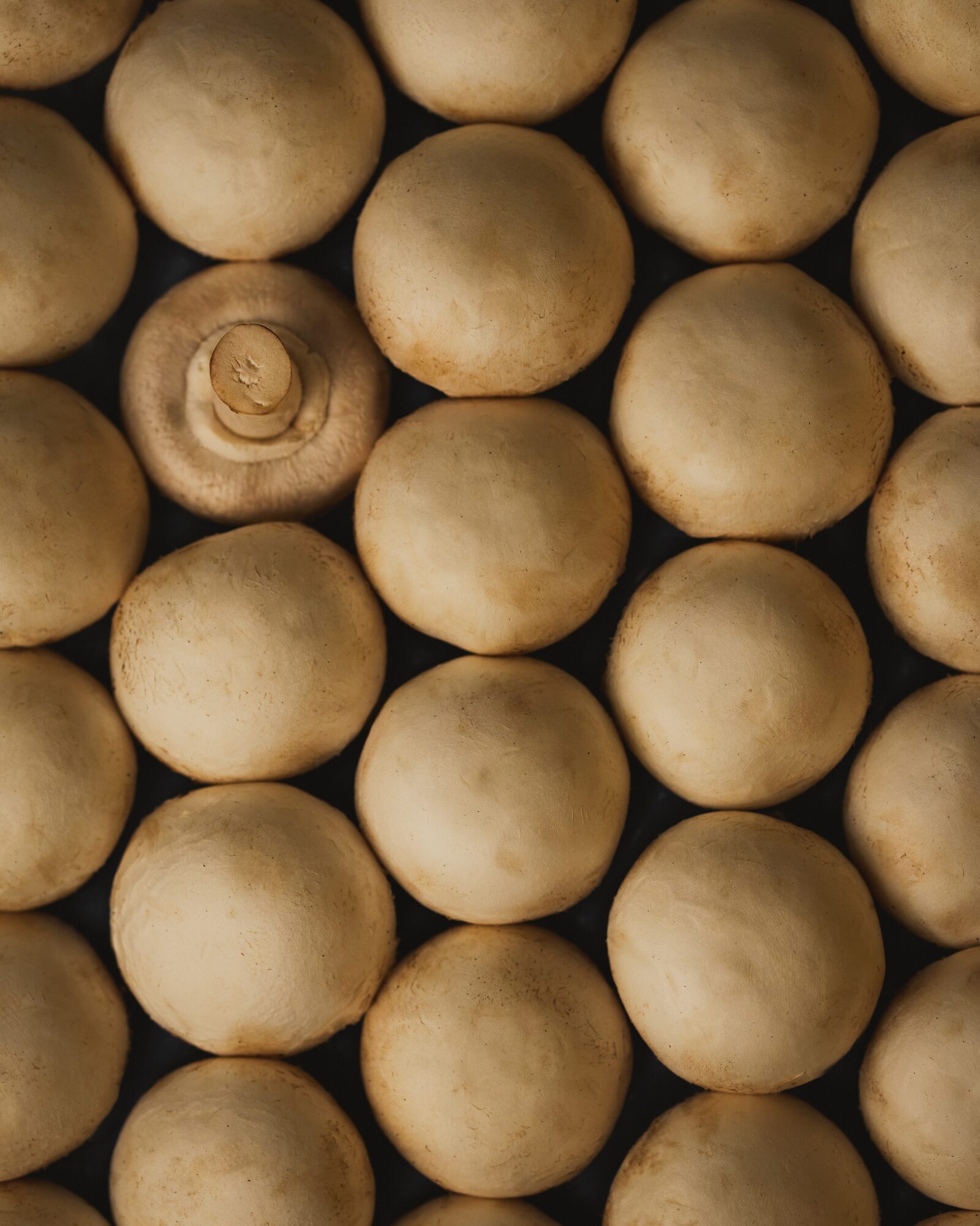 Fotografía gastronómica de Ale Fisichella
